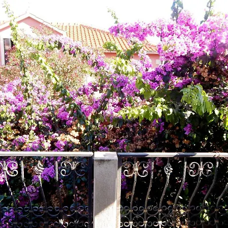 Appartement Bepina *